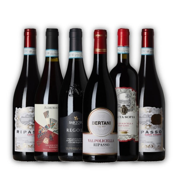 Collection of wine bottles with various labels on a white background