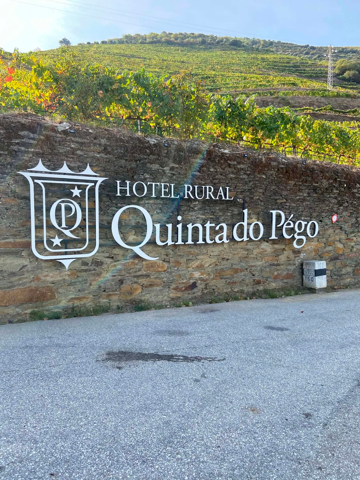 Et billede af Hotel Rural Quinta do Pego omgivet af vinmarker