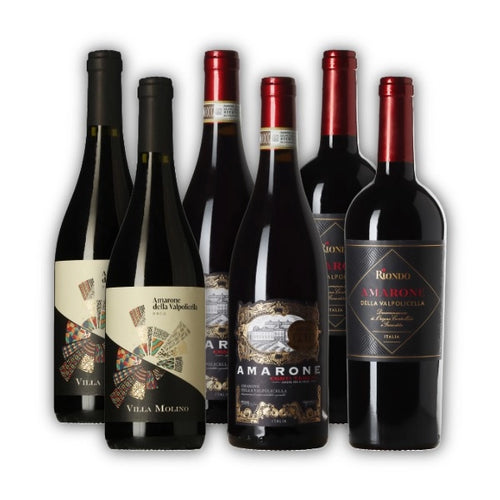 Collection of Amarone wine bottles from different producers on a white background