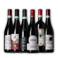 Collection of wine bottles with various labels on a white background